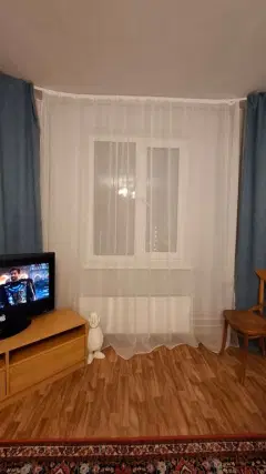 Фото гостя 8 — Квартира однокомнатная в Канавинском, 46 м², Нижний Новгород