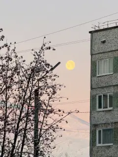 Фото гостя 10 — Студия однокомнатная на улице Олимпийской, 23 м², Кировск