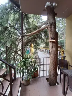 Фото гостя 8 — Апартаменты однокомнатные в переулке Лавровом, 45 м², Ялта