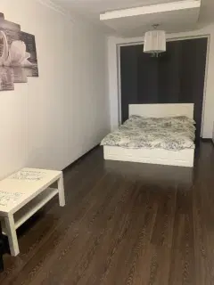 Фото гостя 3 — Студия однокомнатная в Привокзальном, 48 м², Тула