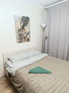 Фото гостя 1 — Квартира однокомнатная в микрорайоне Рекинцо, 36 м², Солнечногорск