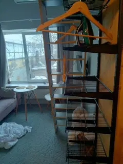 Фото гостя 8 — Апартаменты однокомнатные у Динамо, в Беговом, 18 м², Москва