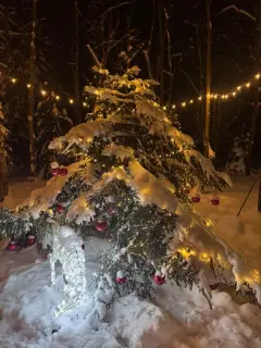 Фото гостя 2 — Коттедж 6-местный в деревни Грешнево, 68 м², Клин