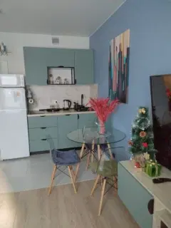 Фото гостя 2 — Студия однокомнатная у метро Котельники, 26 м²