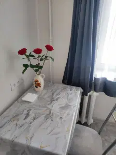 Фото гостя 3 — Квартира однокомнатная у Площади Маркса, в Кировском, 32 м², Новосибирск