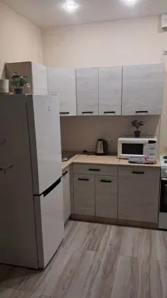 Фото гостя 2 — Квартира однокомнатная в Чкаловском, 50 м², Екатеринбург