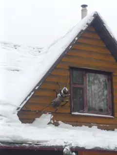 Фото гостя 3 — Дом 8-местный у Саларьево, в Коммунарке, 98 м², Москва