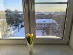 Фото гостя 6 — Студия однокомнатная на улице Вольной, 32 м², Ярославль