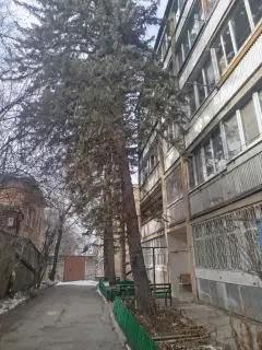 Фото гостя 4 — Квартира трёхкомнатная на улице Велинградской, 75 м², Кисловодск