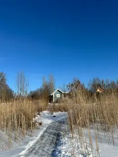 Фото гостя 2 — Дом 2-местный в деревни Речицах Малых, 27 м², Гдов