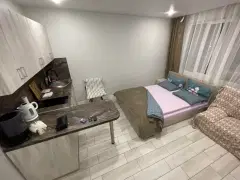 Фото гостя 1 — Студия однокомнатная в микрорайоне Олимпийском городоке, 26 м², Рязань