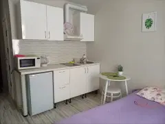 Фото гостя 4 — Студия однокомнатная в Московском, 20 м², Нижний Новгород