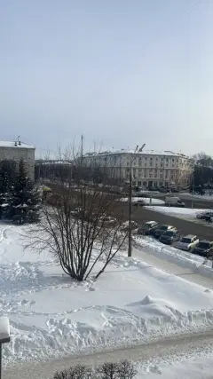 Фото гостя 2 — Квартира двухкомнатная на проспекте Ленина, 60 м², Ярославль