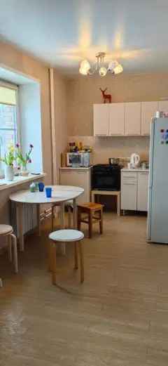 Фото гостя 7 — Квартира однокомнатная в Советском, 40 м², Новосибирск
