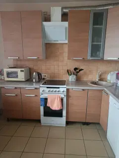 Фото гостя 1 — Квартира однокомнатная в Кировском, 56 м², Санкт-Петербург