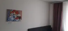 Фото гостя 1 — Студия однокомнатная у Площади Маркса, в Ленинском, 19 м², Новосибирск