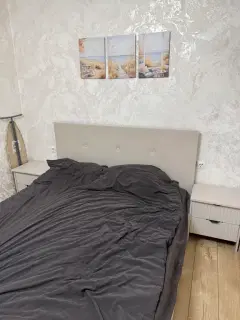 Фото гостя 8 — Квартира однокомнатная в переулке Яновского, 25 м², Кисловодск