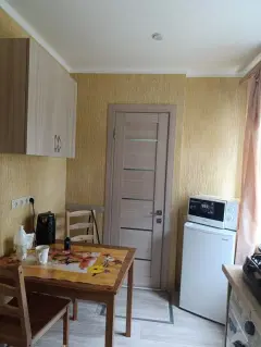 Фото гостя 5 — Квартира однокомнатная на улице Карла Маркса, 26 м², Ессентуки