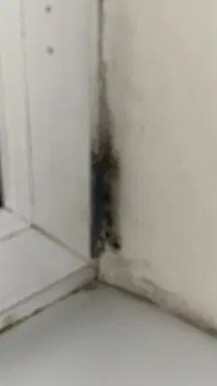 Фото гостя 11 — Студия однокомнатная у Студенческой, в Ленинском, 19 м², Новосибирск