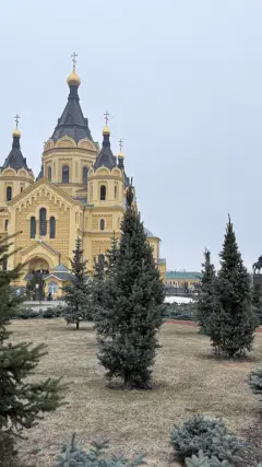 Фото гостя 8 — Квартира однокомнатная в Канавинском, 46 м², Нижний Новгород