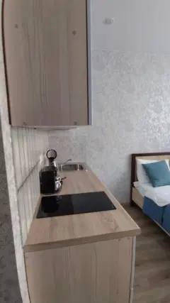 Фото гостя 3 — Студия однокомнатная в Советском, 30 м², Новосибирск
