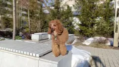 Фото гостя 8 — Студия однокомнатная у Суконки, в Вахитовском, 20 м², Казань