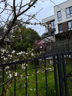 Фото гостя 3 — Студия однокомнатная на улице Ленина, 25 м², Адлер