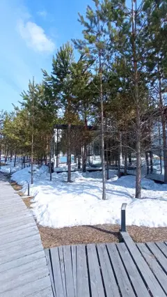 Фото гостя 1 — глэмпинг «Lucky Glamping», Степной