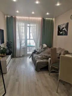Фото гостя 11 — Квартира двухкомнатная на улице Тапиоле, 44 м², Петрозаводск