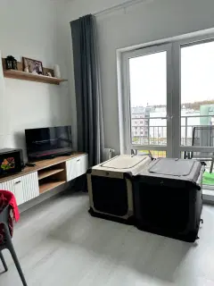 Фото гостя 1 — Квартира однокомнатная в Московском, 35 м², Санкт-Петербург