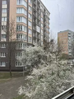 Фото гостя 1 — Квартира однокомнатная в Ленинградском, 42 м², Калининград