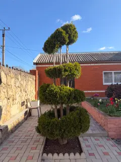 Фото гостя 1 — Апартаменты 4-местный на улице Дарвина, 62 м², Темрюк