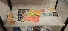 Фото гостя 1 — Квартира однокомнатная на улице Владимирской, 34 м², Родина