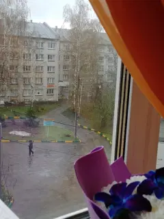 Фото гостя 1 — Студия однокомнатная в Советском, 56 м², Нижний Новгород