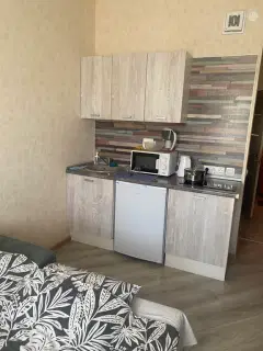 Фото гостя 7 — Студия однокомнатная в Советском, 22 м², Нижний Новгород
