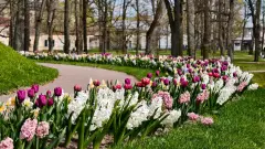 Фото гостя 6 — Квартира двухкомнатная на шоссе Красносельском, 56 м², Пушкин