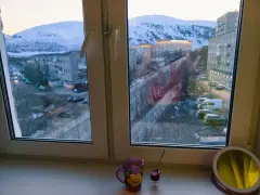 Фото гостя 1 — Квартира трёхкомнатная на проспекте Ленина, 54 м², Кировск