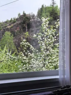Фото гостя 9 — Дом 5-местный в переулке Железнодорожном, 40 м², Сортавала