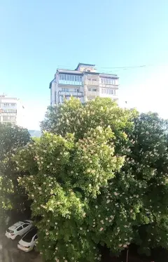 Фото гостя 1 — Квартира двухкомнатная на улице Велинградской, 49 м², Кисловодск
