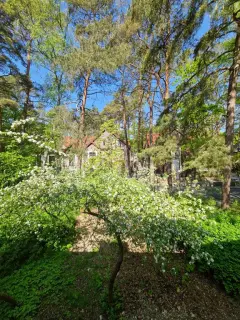Фото гостя 2 — Квартира двухкомнатная на улице Бахе, 50 м², Светлогорск