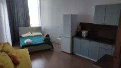 Фото гостя 1 — Студия однокомнатная в Чкаловском, 34 м², Екатеринбург