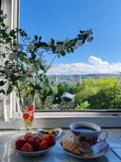 Фото гостя 1 — Квартира однокомнатная на улице Куйбышева, 35 м², Кисловодск