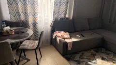 Фото гостя 2 — Студия однокомнатная в Советском, 33 м², Нижний Новгород
