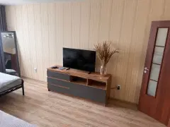Фото гостя 7 — Квартира однокомнатная в Советском, 41 м², Нижний Новгород