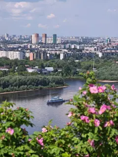 Фото гостя 11 — Квартира двухкомнатная в микрорайоне Караваихе, 41 м², Нижний Новгород
