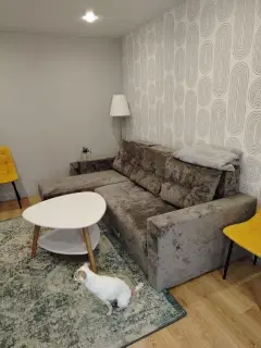 Фото гостя 10 — Квартира двухкомнатная в Пушкинском, 43 м², Павловск