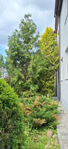 Фото гостя 11 — Дом 8-местный в Ленинградском, 170 м², Калининград