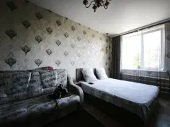 Фото гостя 8 — Квартира однокомнатная на улице Ленина, 37 м², Муром