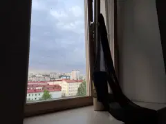 Фото гостя 1 — Квартира трёхкомнатная на улице Воровского, 76 м², Мурманск