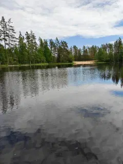 Фото гостя 1 — Дом 6-местный на территории СНТ Гавань, 60 м², Запорожское